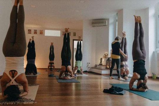 Immagine 3 dalla galleria del partner Ashtanga Yoga Italia