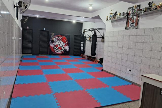 Imagem 3 da galeria do parceiro CT Nak Muay Team Vila Menck