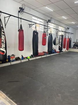 Imagem 3 da galeria do parceiro C.T Brutus Fighter