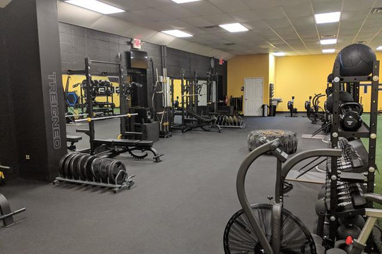 Image 2 from TREIGNED partner gallery