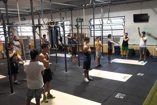 Immagine 3 dalla galleria del partner Calisthenics Titans Bologna ASD