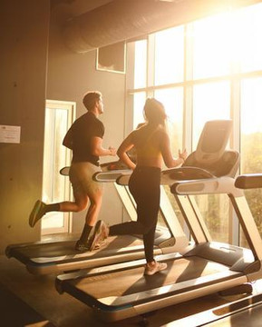 Imagen 2 de la galería del partner New York City Fitness Gym