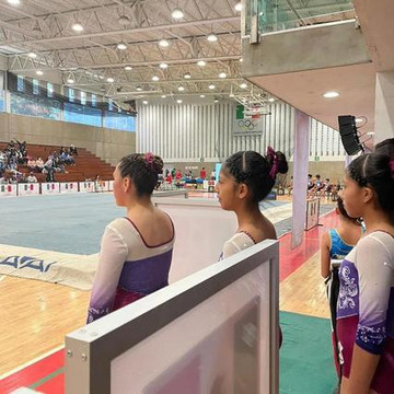 Imagen 3 de la galería del partner Gimnasia Tula Allende