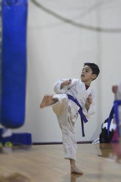 Imagen 1 de la galería del partner Karate Tijuana JKO México