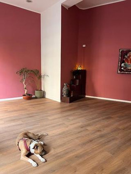 Immagine 1 dalla galleria del partner Matahari YogaSpace