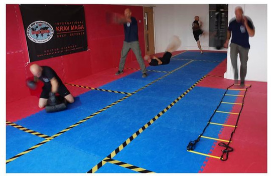 Image 3 from Krav Maga Evolve partner gallery