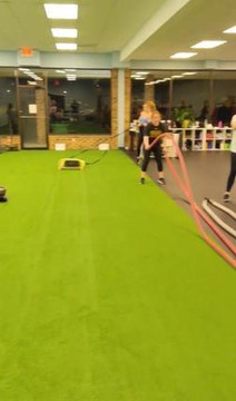 Image 1 from Results Performance Training partner gallery