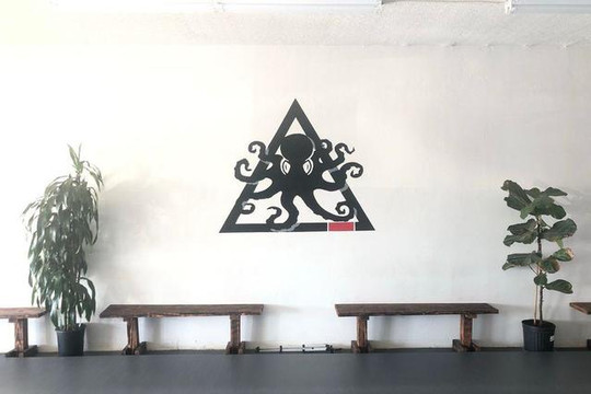 Image 1 from Nexus Jiu Jitsu partner gallery