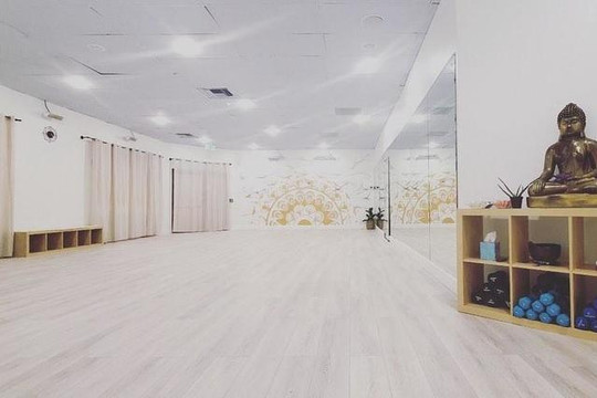 Image 2 from Power Yoga Palm Springs partner gallery