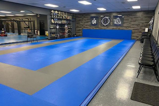 Image 2 from Bushido Mixed Martial Arts partner gallery