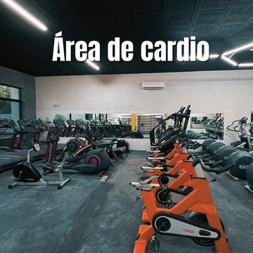 Imagen 3 de la galería del partner Performance Gym Motul