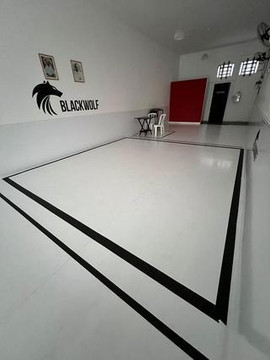 Imagem 2 da galeria do parceiro Blackwolf Escola de Jiu Jitsu