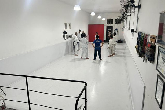 Imagem 3 da galeria do parceiro Blackwolf Escola de Jiu Jitsu