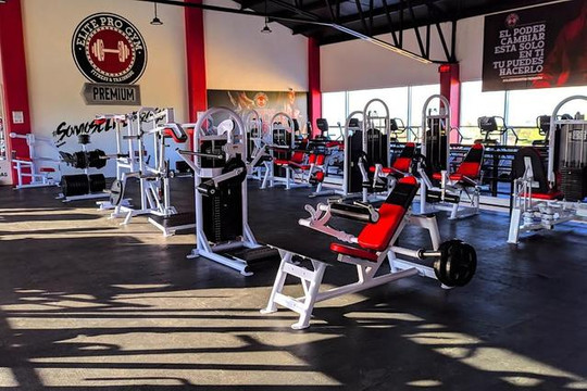 Imagen 3 de la galería del partner Elite Pro Gym Periodismo