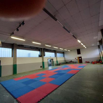 Immagine 2 dalla galleria del partner Shinanban Karate Roncole