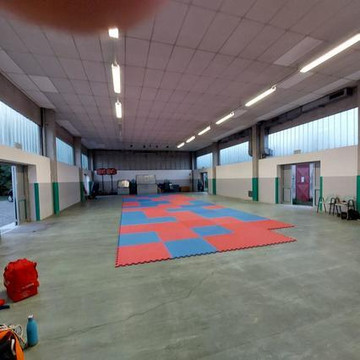 Immagine 3 dalla galleria del partner Shinanban Karate Roncole