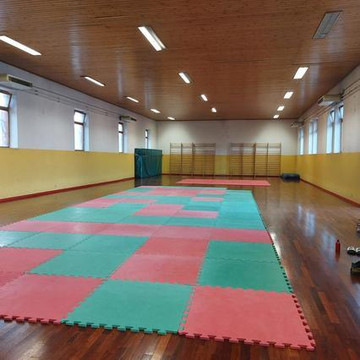 Immagine 3 dalla galleria del partner Shinanban Karate Fiorenzuola D'arda