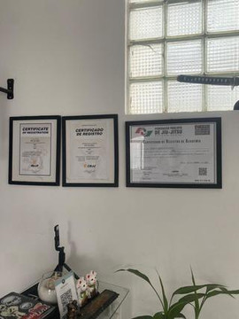 Imagem 2 da galeria do parceiro Brazilian Roots Jiu Jitsu