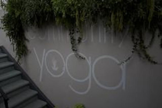 Imagen 1 de la galería del partner Community Yoga Studio