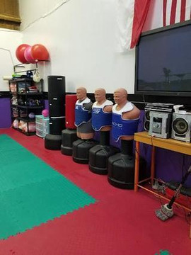 Image 1 from SVega Taekwondo partner gallery