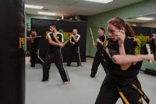 Image 2 from Premier Martial Arts Park Ridge partner gallery