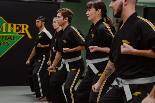 Image 3 from Premier Martial Arts Park Ridge partner gallery