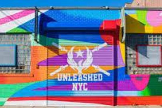 Image 1 from Unleashed NYC partner gallery