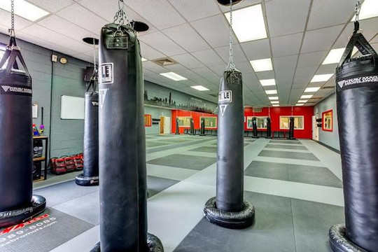 Image 1 from Krav Maga Illinois partner gallery