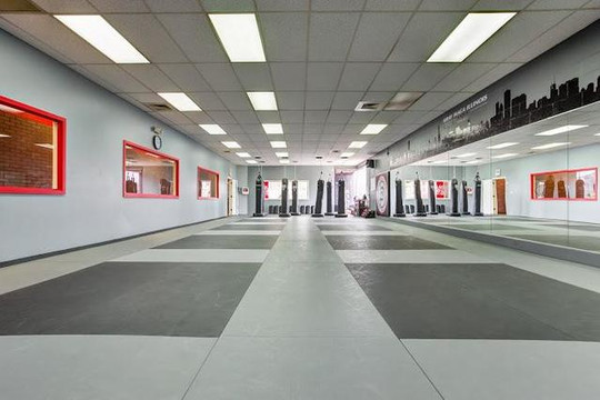 Image 3 from Krav Maga Illinois partner gallery