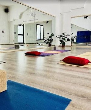 Immagine 2 dalla galleria del partner DĀNA YOGA MILANO