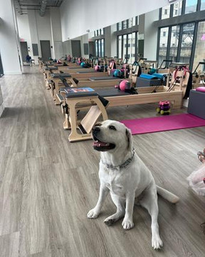 Image 3 from Miami Pilates Company partner gallery