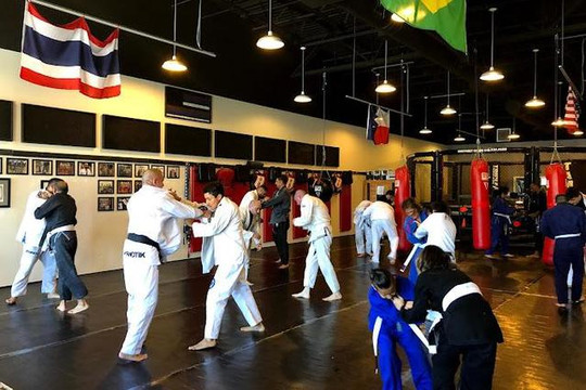 Image 1 from Dominion MMA partner gallery