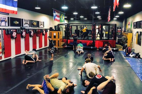 Image 3 from Dominion MMA partner gallery