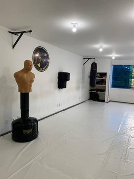 Imagem 3 da galeria do parceiro Arena - Centro de Artes Marciais