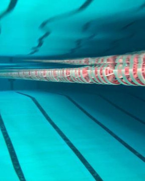 Immagine 3 dalla galleria del partner Di Marca Nuoto Gela