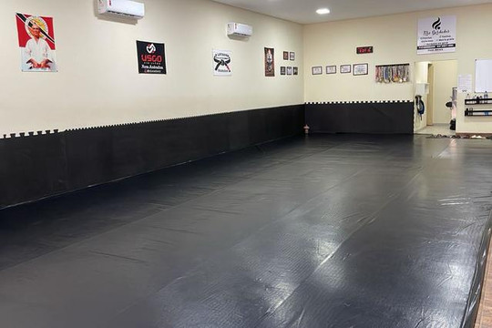 Imagem 1 da galeria do parceiro O Lutador - Centro de Treinamento