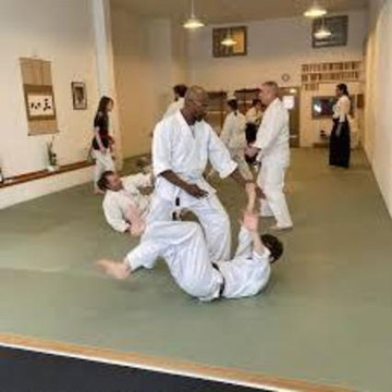 Image 2 from Seattle Aikikai partner gallery