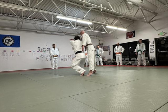 Image 3 from Carmel Judo partner gallery