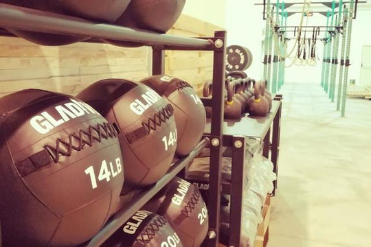 Immagine 1 dalla galleria del partner Wild Crew Crossfit