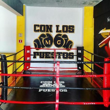Imagen 1 de la galería del partner Con Los Guantes Puestos
