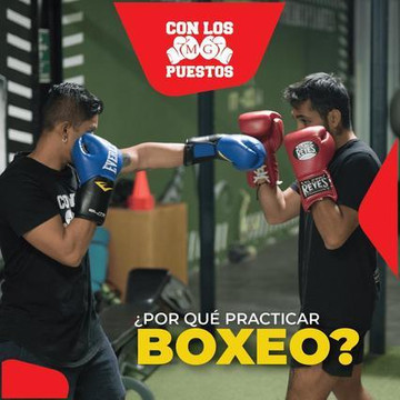 Imagen 3 de la galería del partner Con Los Guantes Puestos
