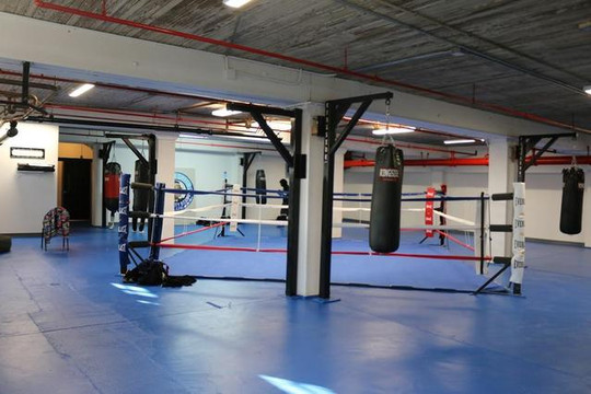 Imagem 2 da galeria do parceiro Windy City Boxing