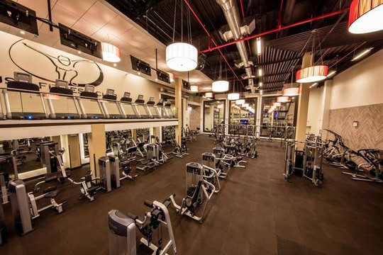Image 1 from Muscle UP partner gallery