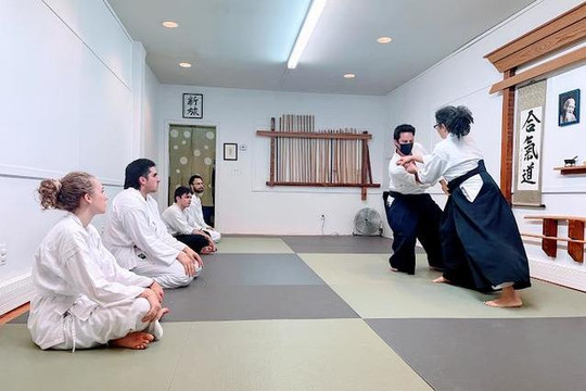 Image 1 from Aikido of South Brooklyn partner gallery