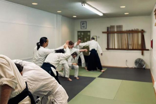Image 2 from Aikido of South Brooklyn partner gallery