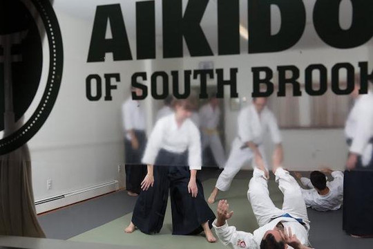 Image 3 from Aikido of South Brooklyn partner gallery
