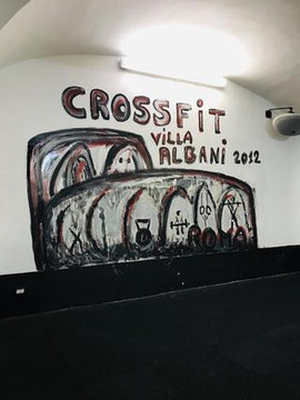 Immagine 1 dalla galleria del partner CrossFit Villa Albani