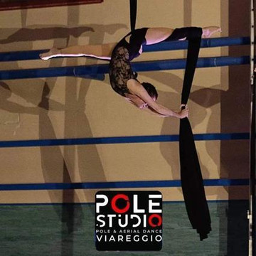 Immagine 2 dalla galleria del partner Pole Studio Viareggio