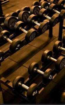 Imagem 3 da galeria do parceiro New Life Fit