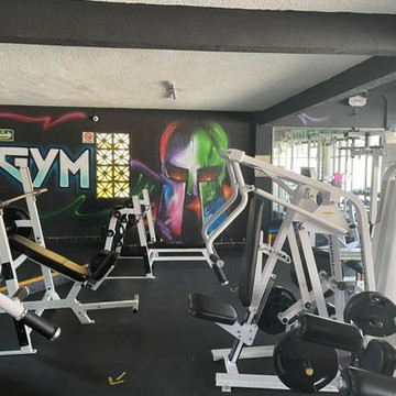 Imagen 3 de la galería del partner Elite Team Pro Gym San Mateo
